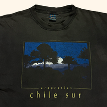 Lade das Bild in den Galerie-Viewer, Vintage Tatoo 90s Chilean Araucaria Faded T-Shirt (L)