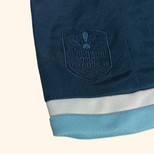 Load image into Gallery viewer, Adidas Argentina 2015/16 Jersey (M)