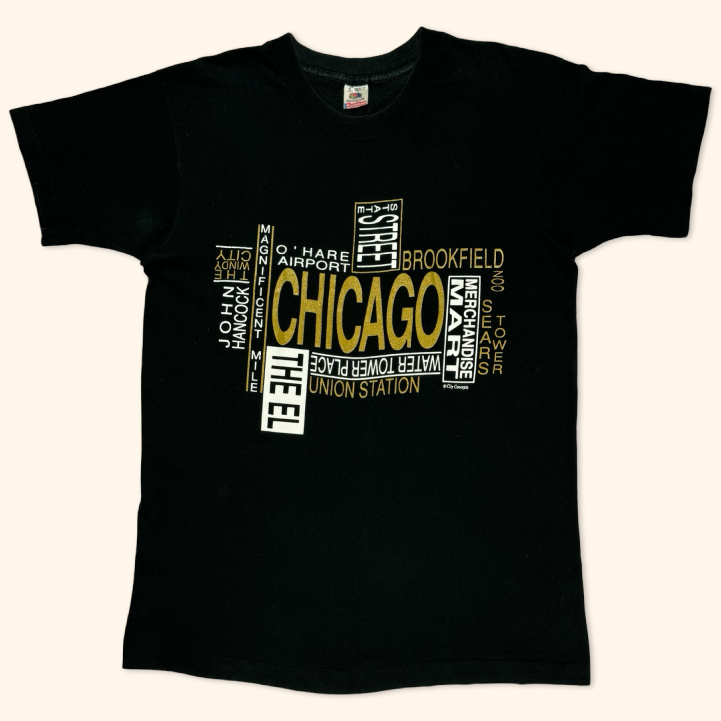 Chicago Vintage 90s Single Stitch T-Shirt (L)